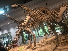 -自贡恐龙博物馆