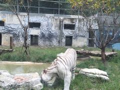 -黔灵山公园-南门售票处