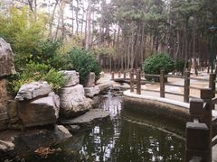 -林海公园