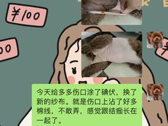 -伟伟宠物医院·CT影像中心·瑞派犬猫综合性门诊(汉口总院)