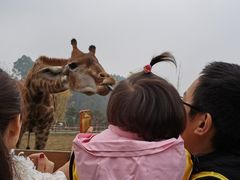 -黄龙溪欢乐田园