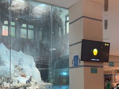 -帝企鹅自助餐厅•儿童岛•真企鹅(长隆企鹅酒店)