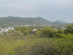 -香雪海