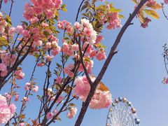 -观澜湖生态运动公社