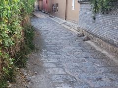 -摩梭传统篝火晚会