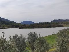 -风云岭森林公园