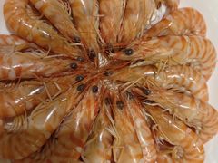 -旺顺阁海鲜广场(亚运村店)