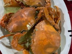 -台山美食一绝阿四台山黄鳝饭(阿四创作店)