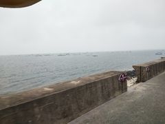 -北海金海湾红树林生态旅游区