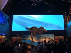 -贝林大翅鲸简餐厅(国家海洋博物馆店)