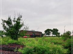 -西京湾花海
