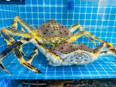 -本达人海鲜烧烤·朝鲜族风味(发展店)