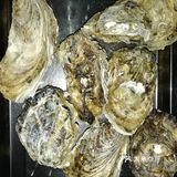 烤生蚝。烤扇贝。羊肉串。不说了