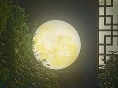 -王捌小院(红花坡店)