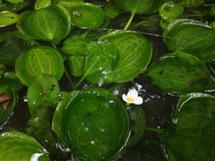 -呀诺达热带雨林