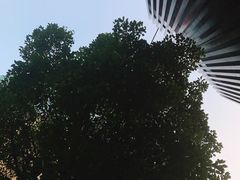 -台北楚楚园馅饼粥(虹桥南丰城店)