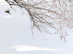 -长春公园(普阳街道)