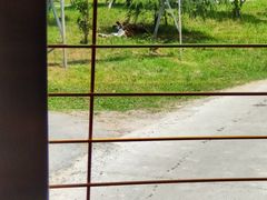 -南大门韩国米糕(公滨路店)