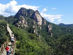 -大岭沟猕猴桃谷风景区