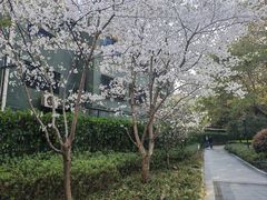 -徐家汇源景区-衡山公园