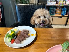 -百好乐宠物友好餐厅(朝外大街店)