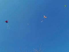 -杭州城北体育公园