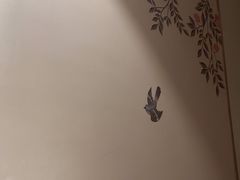 -华夏良子·足道SPA艾灸(翠微店)