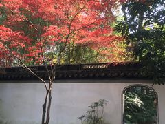 -秋霞圃