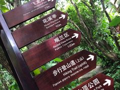 -亚龙湾热带天堂森林公园