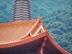 -深圳市中科院仙湖植物园