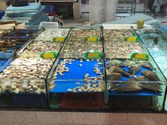 -大东海海鲜酒楼(渔人码头总店)