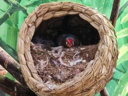 -Zoolung Zoolung动物主题公园(海信广场店)