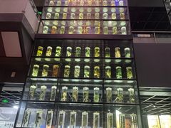 -广东中医药博物馆