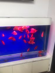 -圣瑞医疗上海圣恩儿科门诊部