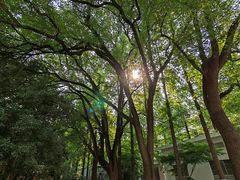 -上海大学(嘉定校区)