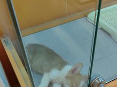 -狗道宠物(常熟印象城店)