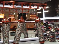 -燃无界格斗·拳击搏击体能馆(优品道店)