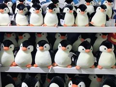 -成都浩海立方海洋公园