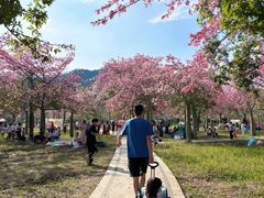 -风云岭森林公园