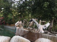 -灵玲国际马戏城
