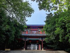 -灵谷景区