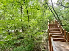 -青峰峡国家森林公园