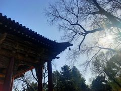 -晋祠公园