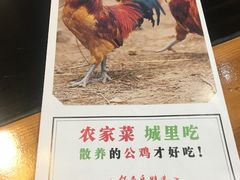 菜单-锅来乐地锅鸡(安亭店)
