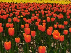 -咸阳湖景区-统一广场