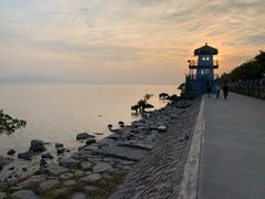 -深圳湾公园(南山区)