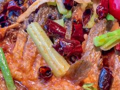 -老板恋上鱼(恒隆广场店)