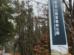 -青龙山国家森林公园