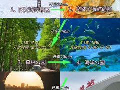 -日照海滨国家森林公园