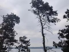 -萨尔浒风景区